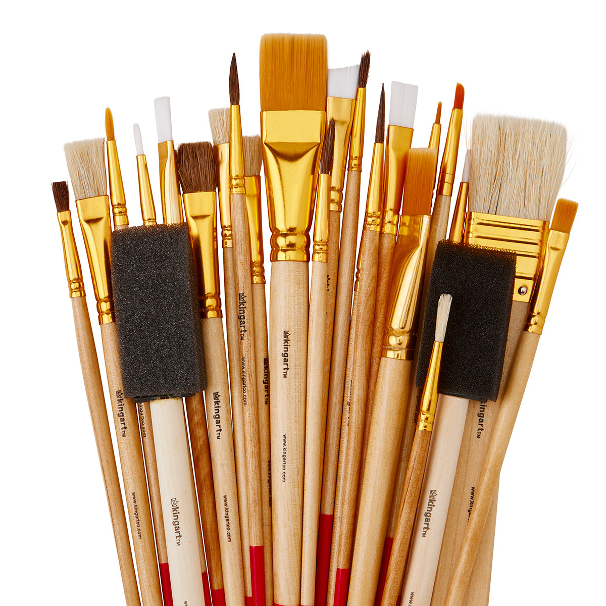 Close up of KINGART 25 piece multi-purpose brush set slightly fanned out in clear package - paint brushes foam brushes and chip brushes in various sizes