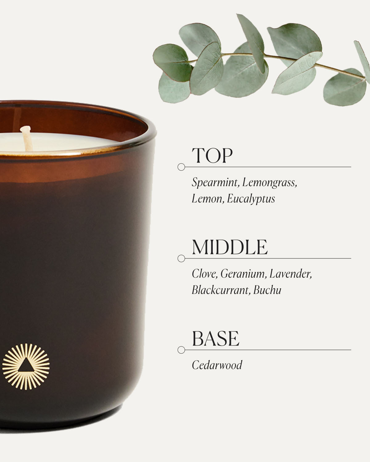 Grateful candle with decorative eucalyptus leaves above fragrance description - natural essential oil aromatherapy candle scent notes