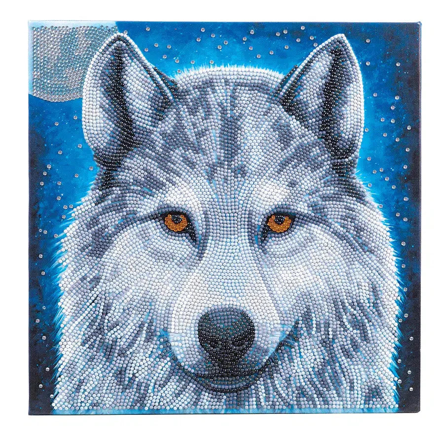 Midnight Wolf Crystal Art framed canvas diamond art piece featuring wolf with moon and blue starry background