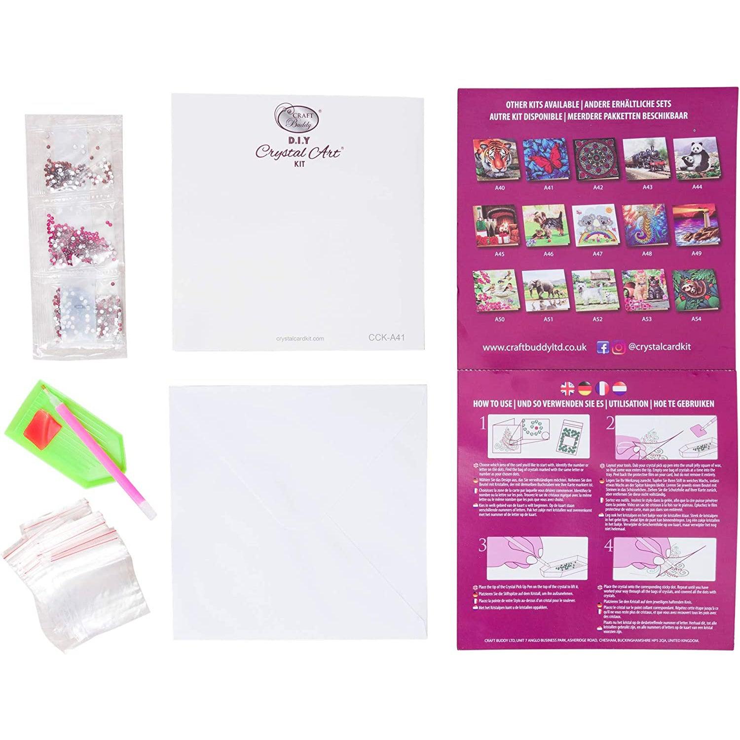 Diamond art kit including a colorful instruction sheet, gemstone bags, diamond art tools on a white background.