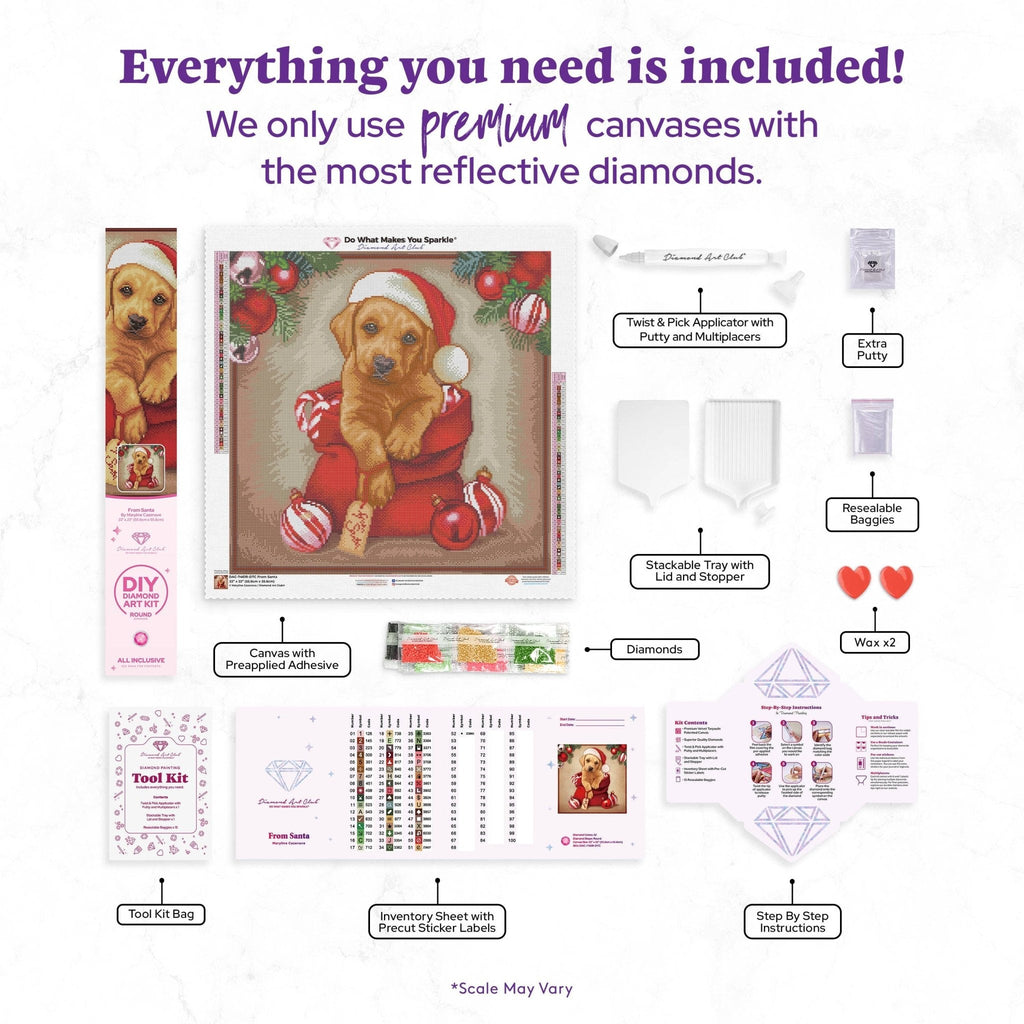Diamond painting kit with all included items and instructions displayed on a white background